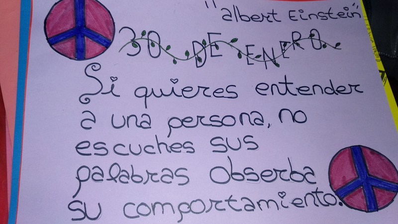 IMG 20190204 WA0011 [1600x1200]